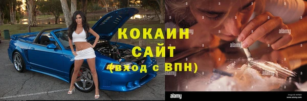прущие грибы Каменск-Шахтинский