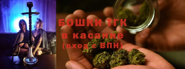 прущие грибы Каменск-Шахтинский
