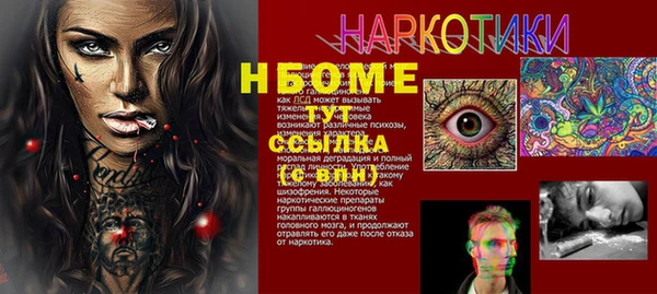 прущие грибы Каменск-Шахтинский