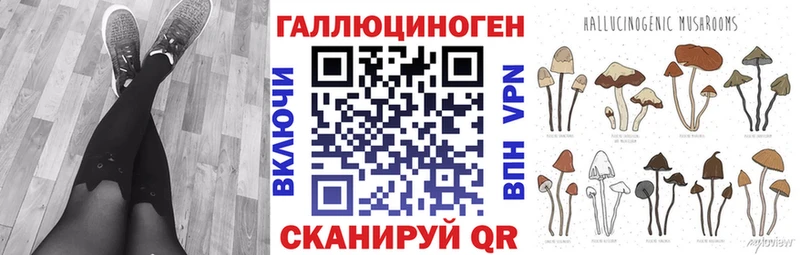Купить закладки  Удачный  Галлюциногенные грибы GOLDEN TEACHER 